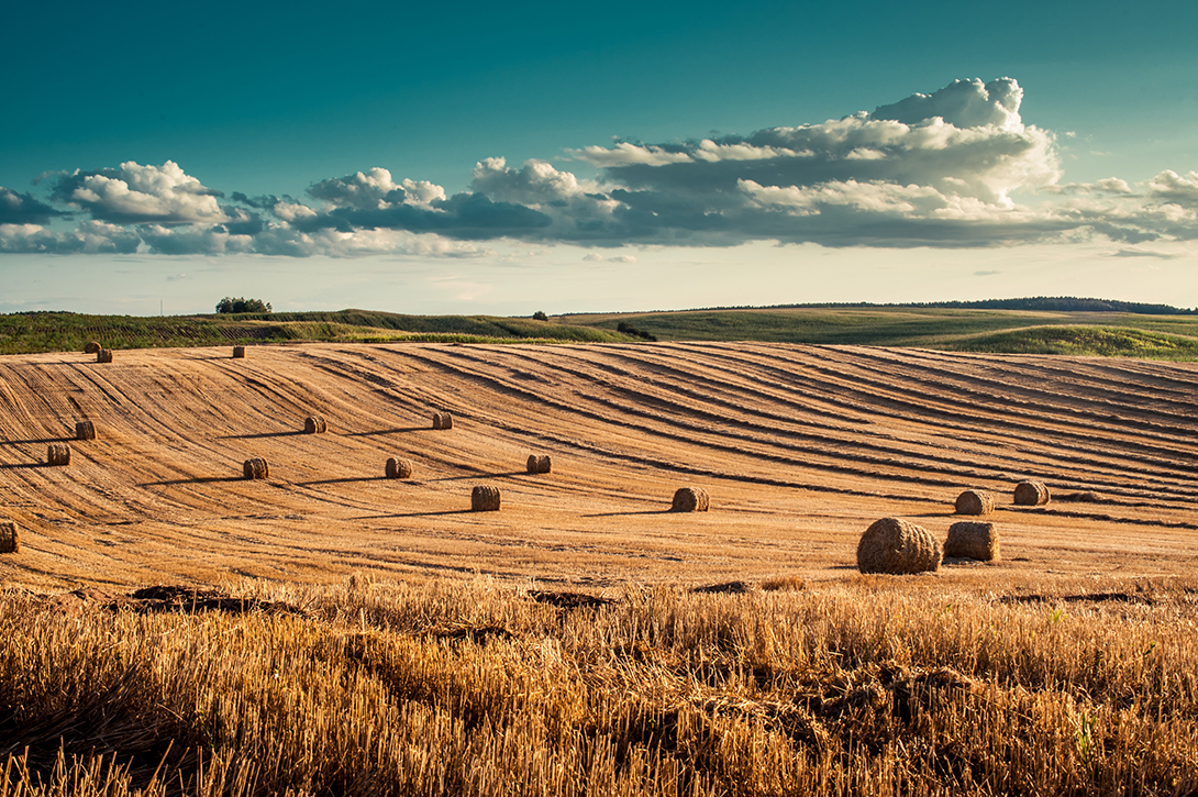 澳新(圖1) 澳大(dà)利亞.jpg